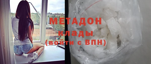 шишки Абаза