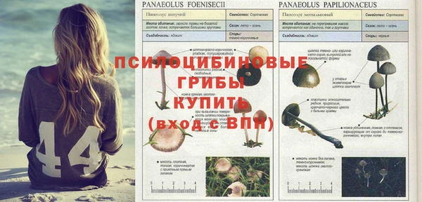 дживик Абдулино