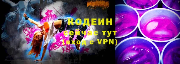 шишки Абаза